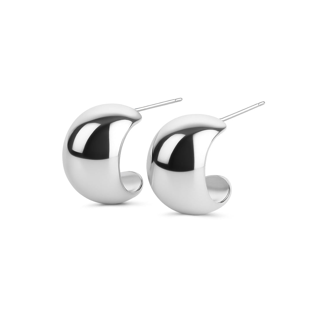 Earrings Silver