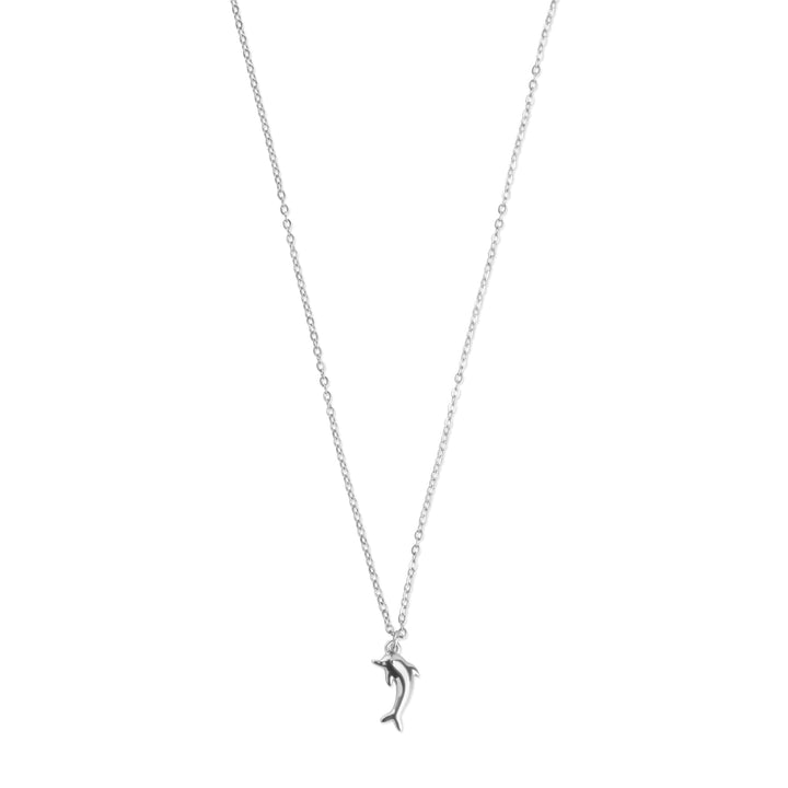 Eilora - Dolphin Necklace Stainless Steel