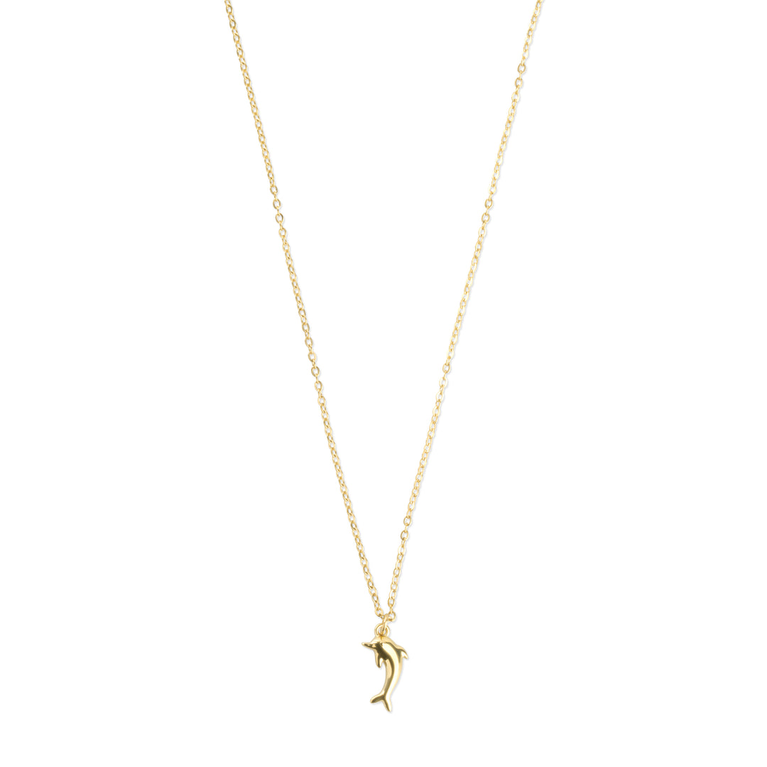 Eilora - Dolphin Necklace Stainless Steel