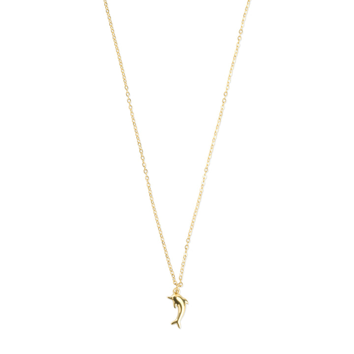 Eilora - Dolphin Necklace Stainless Steel