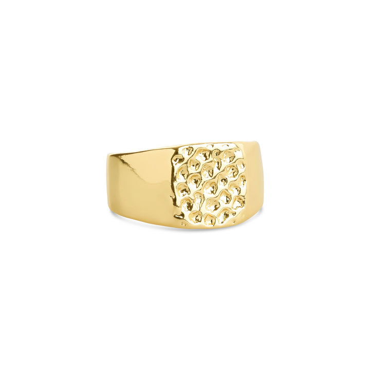 Blythe – signet ring in stainless steel, gold | Timi of Sweden